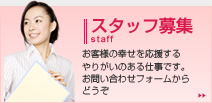 スタッフ紹介